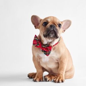 THE FOGGY DOG BOW TIE COLLAR - Medium - Red Tartan